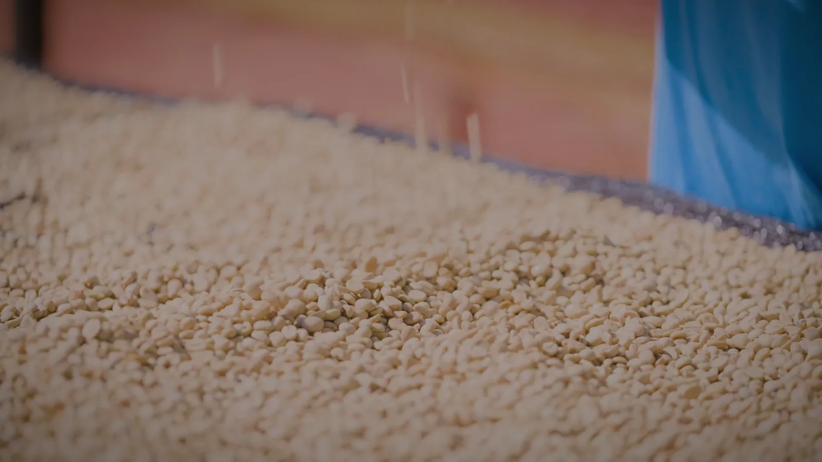 Coffee drying at origin